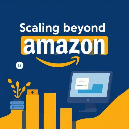 A marketplace seller navigating multiple digital channels beyond Amazon, including email, DTC website, and social commerce platforms.